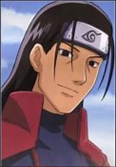 Quel genre de ninja voudrais-tu être ?