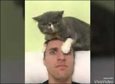 Est-ce que son 1er chat s'appelle Lua ?