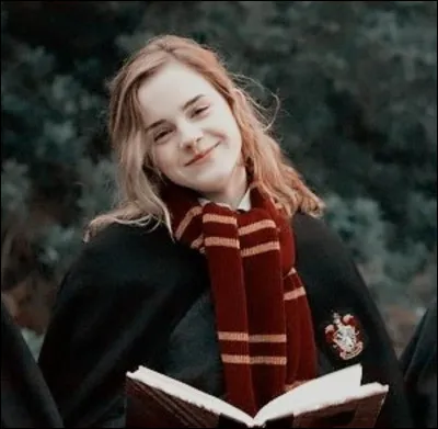 Quelles sont les caractéristiques de sa baguette ?