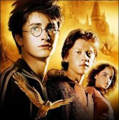 Quel cours Hermione décide-t-elle d'arrêter ?