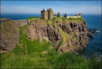 Quelle fleur est emblématique de l'Écosse ?