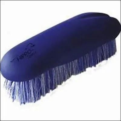 Comment s'appelle cet outil de pansage ?