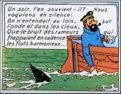 Notre ami Haddock, sous ses dehors un peu fruste, nous montre qu'il a des lettres en citant [qui donc ?], dans [quel album ?]. Compl&eacute;tez les crochets, capitaine !