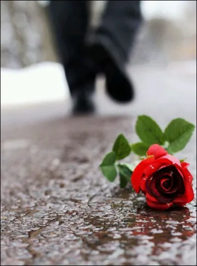 Qui est l'interprète des paroles "c'est ainsi par ici que les choses ont changé, que les fleurs ont fané" ?