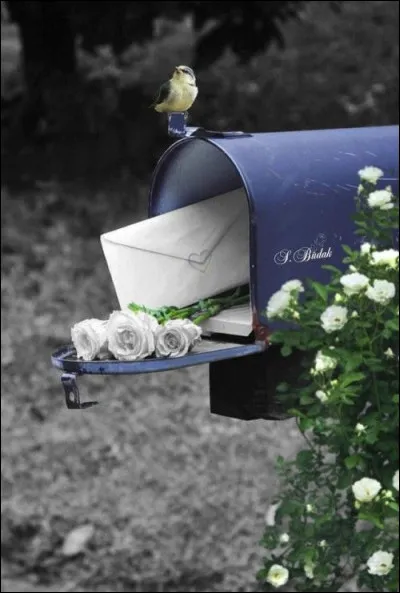 La Poste a pour origine "les relais de poste" destinés dans un premier temps à distribuer les messages royaux, puis à distribuer ceux des particuliers. Quel roi les a institués ?