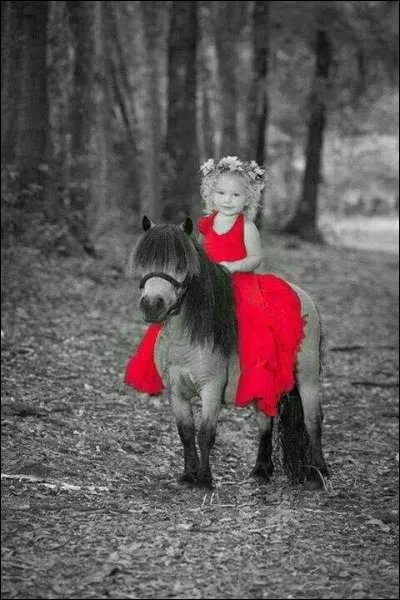 Quelle est la taille maximale d'un poney (au garrot) ?