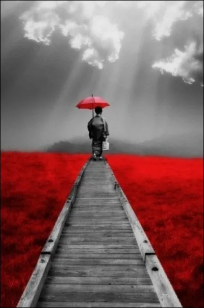 Qui a écrit "L'Herbe rouge" ?