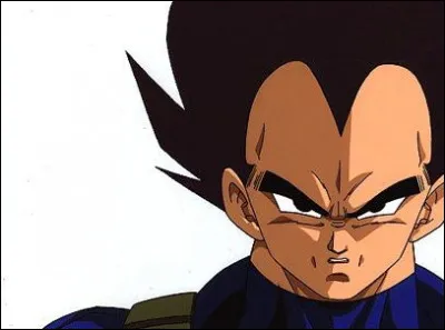 Quel est le but ultime de Végéta ?