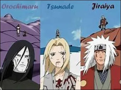 Comment Tsunade, et ses deux coéquipiers, ont-ils été surnommés ?