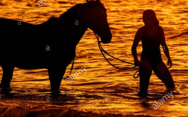 Quiz Galop 2