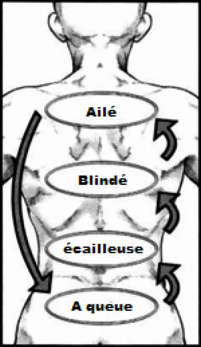 Quel type de kagune voudrais-tu avoir ?