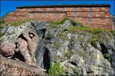 La statue présente dans le territoire de Belfort représente-t-elle un lion ?