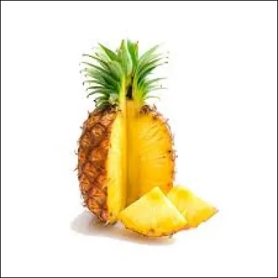 L'ananas pousse-t-il sur un arbre ?
