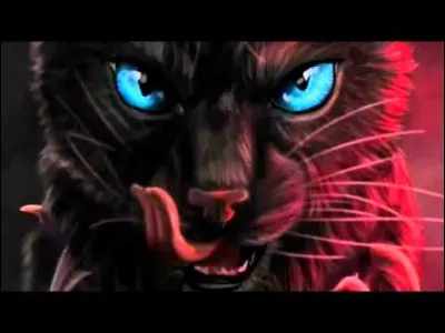 Dans "Une sombre prophétie", comment s'appelle le "petit chat noir avec une patte blanche et un collier en dent de chien" ?