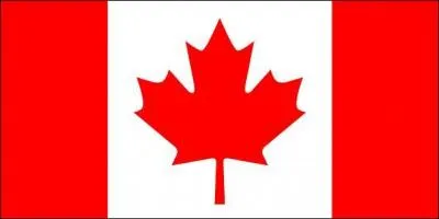 De quel pays est ce drapeau ?