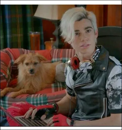 Pourquoi Camarade parle-t-il ?