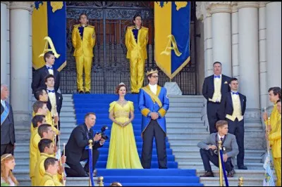 De quelle couleur était la robe de Mal au couronnement ?