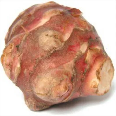 Quelle est cette tubercule comestible ?