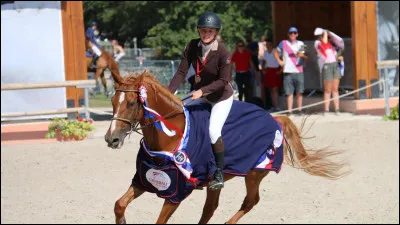 Qui a monté Big Ben, gagné de nombreux concours de CSO et fait l'équipe Olympique 10 fois ?