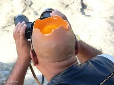 Qu'est-ce qu'un "bucrâne" ?