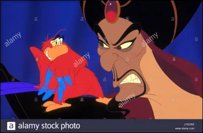 Dans ‘Aladdin', quel est le nom du perroquet du vizir ?