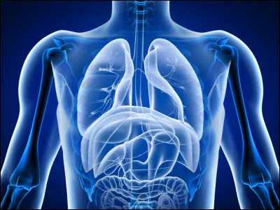 Petite question simple pour la fin, lequel de nos cinq sens nous permet de sentir toutes ces choses ?