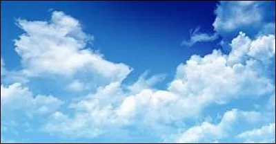 L'air entre dans la composition de l'atmosphère de notre planète, il s'agit d'un mélange gazeux. Quel gaz le compose majoritairement ?