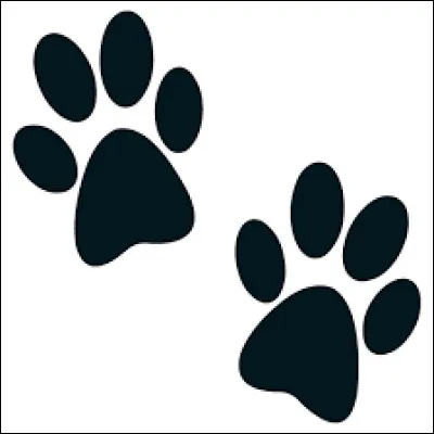 Que sentent les pattes de chien ?