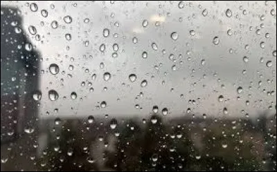 Et maintenant, d'o&ugrave; provient l'odeur de l'herbe fra&icirc;chement mouill&eacute;e apr&egrave;s une pluie ?