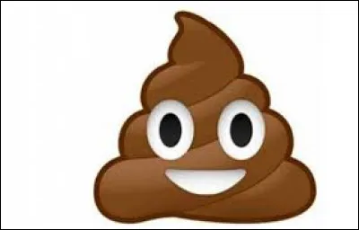 Laquelle de ces choses a une odeur de pet ou de caca ?