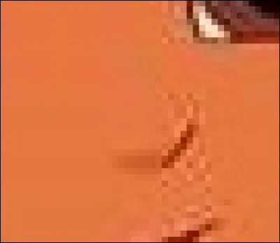 Certes, elle n'a pas beaucoup de nez, je vous l'accorde Mais cette petite demoiselle a appris l'anglais à beaucoup, souvent accompagnée de son petit singe