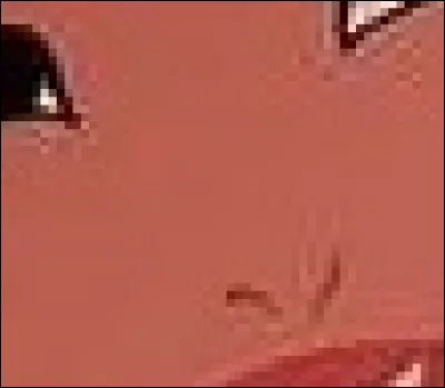 Cette belle Américaine est tombée amoureuse de deux John dans les deux films qui parlent d'elle ; elle a réussi à faire disparaître le racisme qui occupait tout l'esprit du premier, John Smith