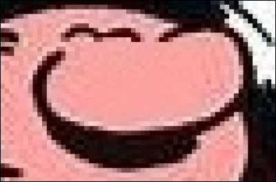 Cet employé de bureau travaille dans le Journal de Spirou, c'est un grand paresseux qui passe son temps à commettre des bêtises