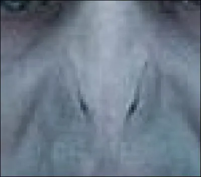 Une de ses principales caractéristiques est de ne pas avoir de nez justement, c'est un des plus grands mages noirs au monde ; abandonné avant sa naissance par son père, puis à sa naissance par sa mère qui en meurt, il ne pouvait que mal tourner