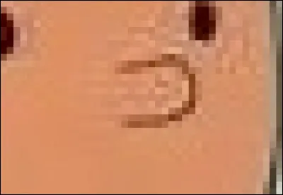 Ce petit reporter possède un petit chien blanc qui le suit dans toutes ses aventures