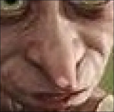 Le but de ce petit elfe de maison a toujours été de sauver la vie d'Harry Potter, jusqu'à en perdre la sienne