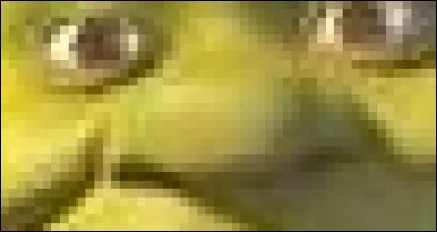 C'est un ogre, et il joue sur sa nature pour effrayer ceux qui veulent s'approcher de son marais : la réalité, c'est qu'il s'aime encore moins que ses détracteurs. Son meilleur ami est un âne