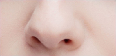 Le nez humain est fait à partir :
