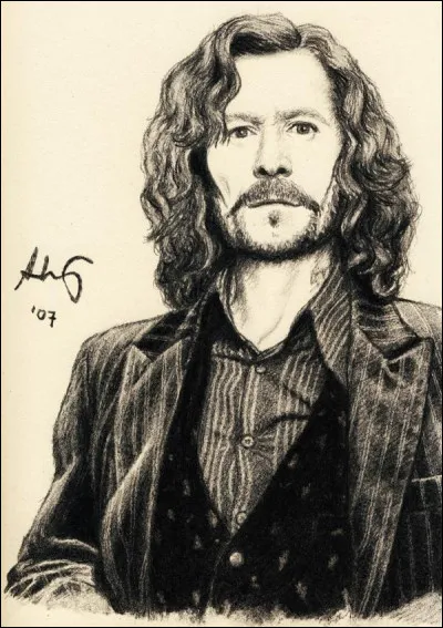 Par quel moyen Harry veut-il essayer de s'enfuir, de Poudlard, pour aller sauver Sirius qu'il a vu se faire torturer au Ministère de la Magie ?