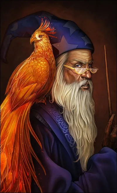 Quel âge a Dumbledore lors de sa mort ?