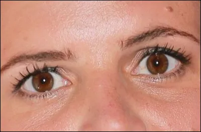 Ces yeux appartiennent à...