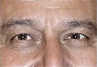 Ces yeux appartiennent à...