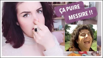 C'est un fait connu, la plupart des oiseaux n'ont pas un odorat très développé, ce qui d'ailleurs ne les empêche pas de s'en servir, mais parmi les trois oiseaux ci-dessous, l'un a un odorat particulièrement développé, il s'agit ...
