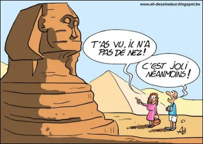 De ces trois animaux, l'un a l'odorat le plus puissant !