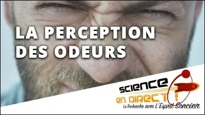 Il existe un nez électronique, capable de reconnaître les odeurs !