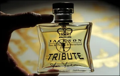 De quoi Joe Jackson, le père de Michael, se serait-il inspiré en voulant lancer cette gamme de parfums pour rendre hommage à Michael, mais qui fut un fiasco ?