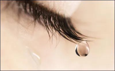 Lorsque l'on pleure, les larmes coulent évidemment le long de notre visage, mais pas seulement ! Notre nez, qui n'a rien demandé, se met lui aussi à couler (snif). En effet, quand on pleure, les larmes sont produites de manière très importante par les glandes lacrymales, qui s'écoulent alors le long du canal nasolacrymal, apportant ainsi un léger goût de...