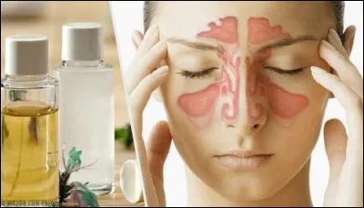 Combien de paires de sinus paranasaux existe-t-il ?