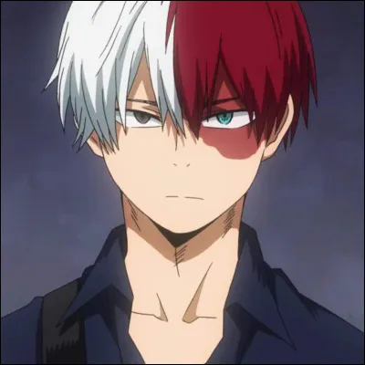 Le côté glace de Todoroki vient de...