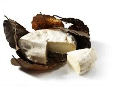 Quel est le nom de ce fromage au lait de chèvre venant de la région PACA ?